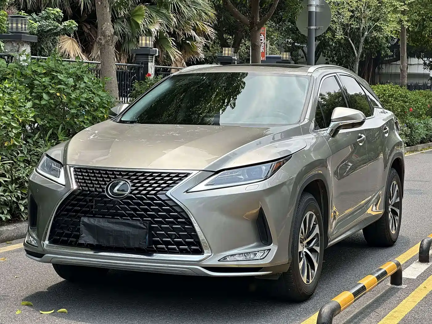 Фото 1 - Lexus RX