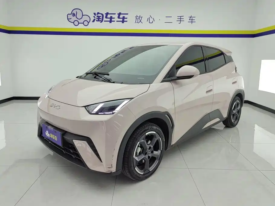 BYD Seagull 2024