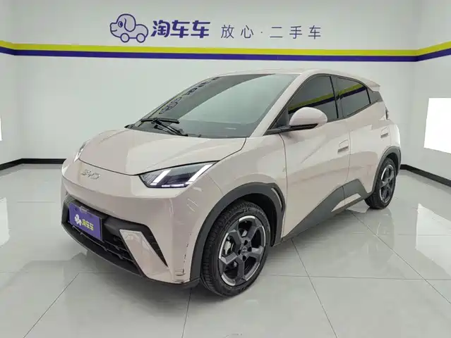 BYD Seagull Слава, 305km, Свобода