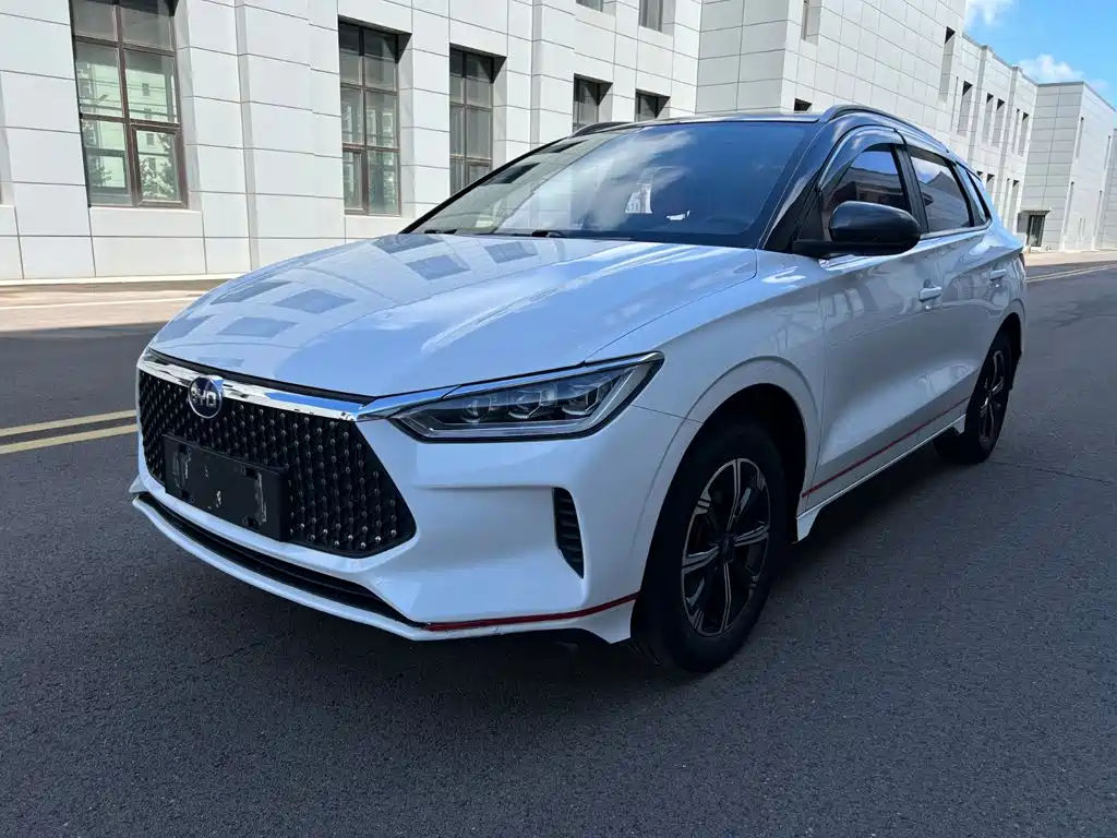 BYD e2 2021