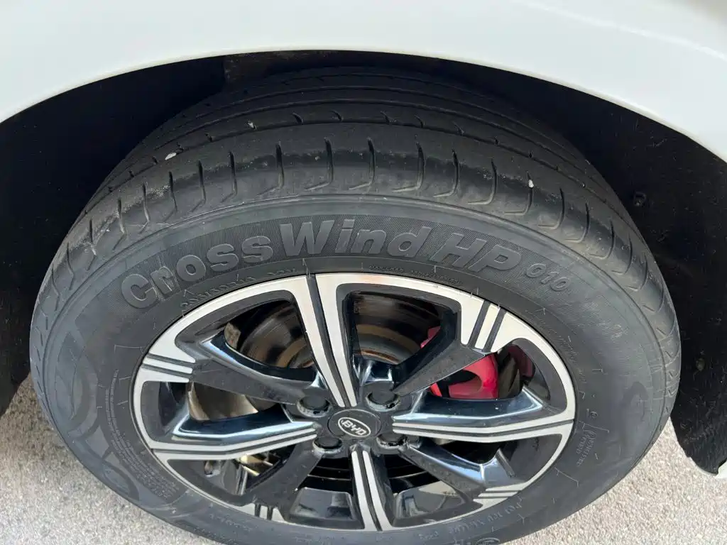 BYD e2 2021 2021 Premium Model