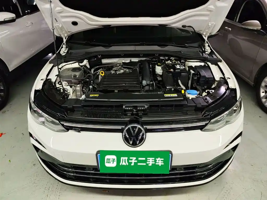 Volkswagen Golf 2021 280TSI DSG R-Line фото 11