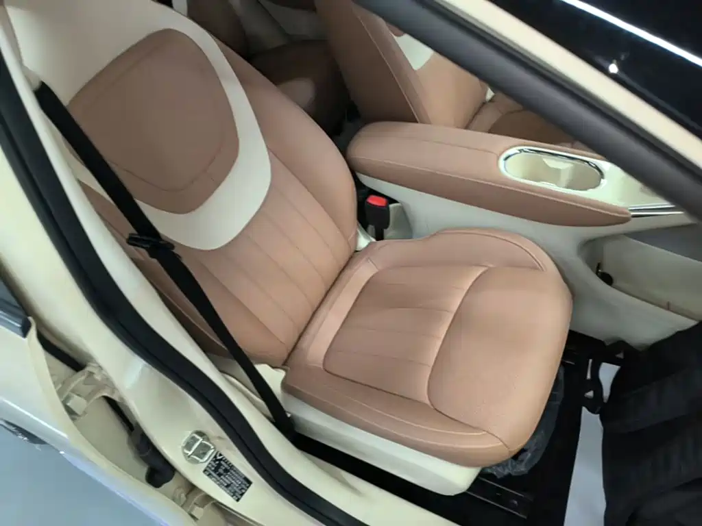 Wuling Motors Wuling Bingo 2026 2025 Model 333km Joy Edition