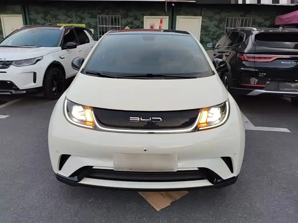 BYD Dolphin 2023 420km Fashion Edition фото 3