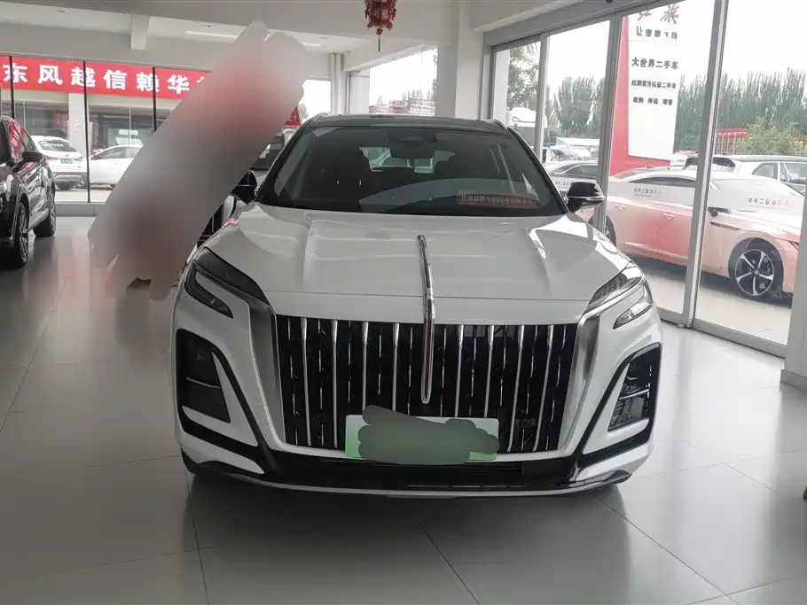 Hongqi HS3 PHEV 2024 PHEV 115km Power Edition фото 2