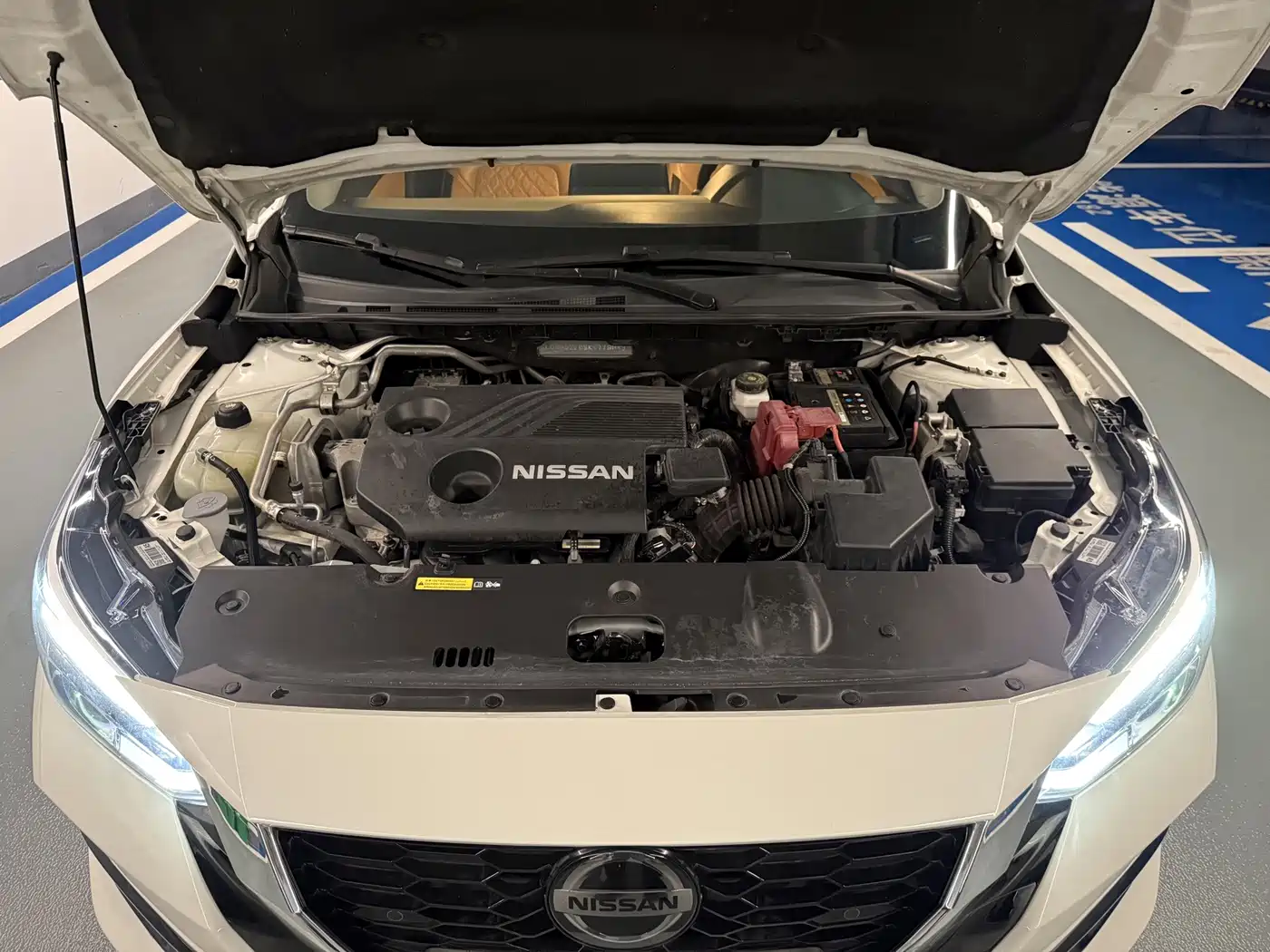 Фото 25 - Nissan Sylphy