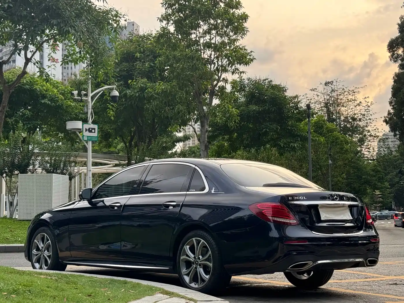 Mercedes-Benz E-Class 2020 E 300 L Sport Luxury Model фото 14