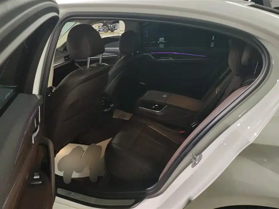 BMW 5 Series New Energy 2019 530Le Luxury Package фото 11