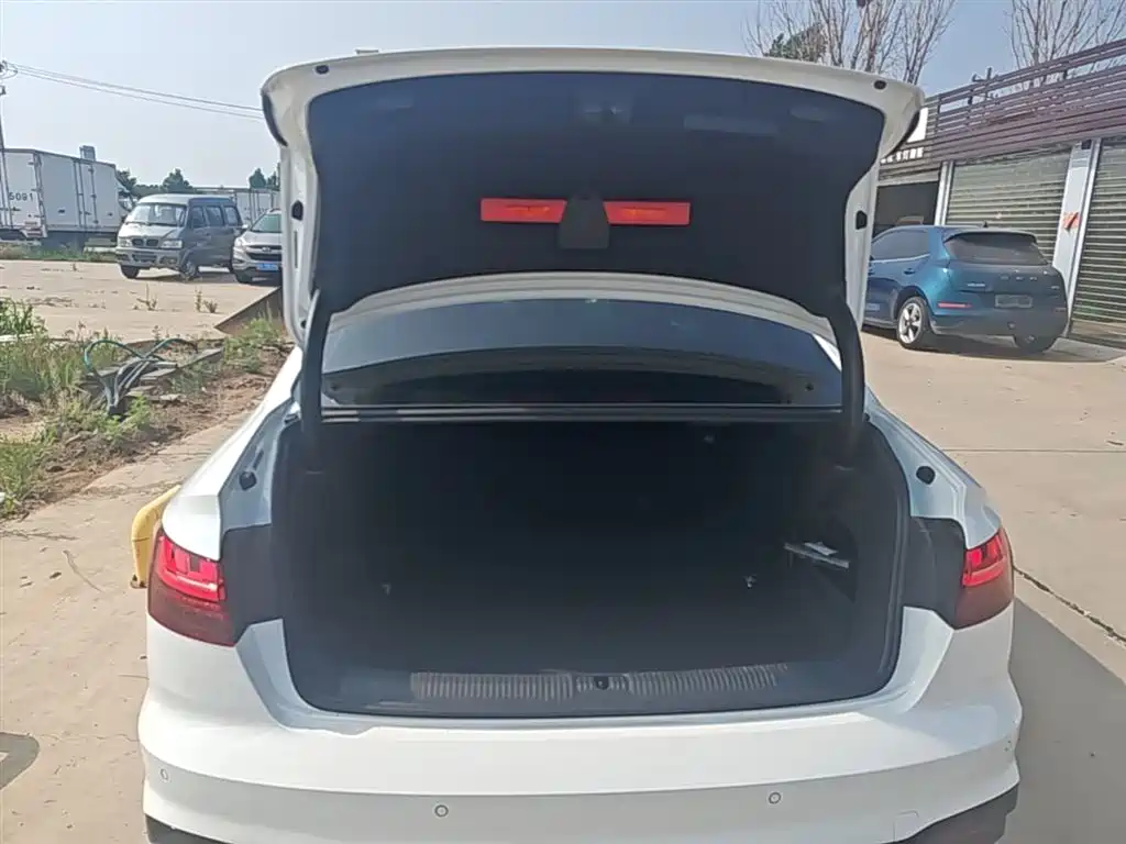 Audi A4L 2023 40 TFSI Luxury Sport фото 19