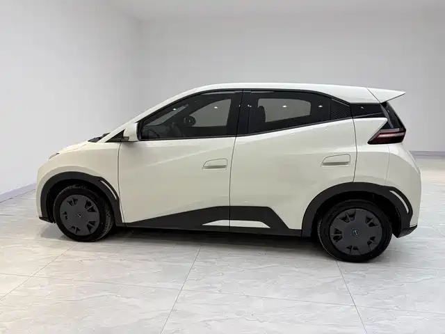 BYD Seagull 2024 Glory Edition 305km Vitality Edition фото 4