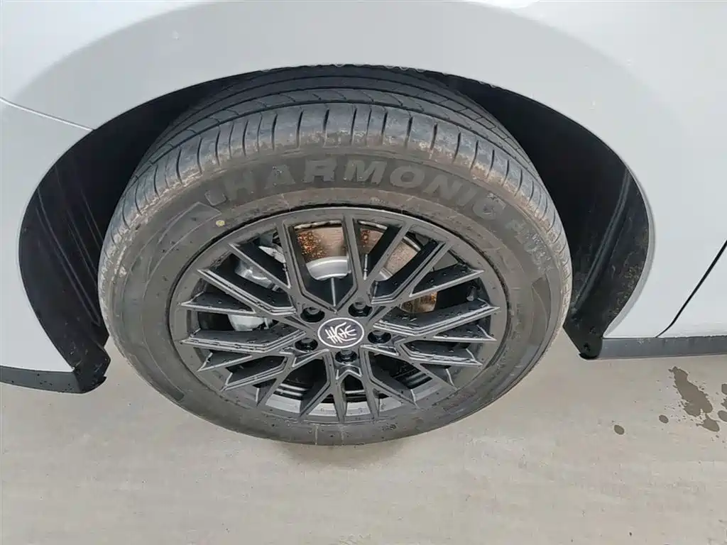 BYD Qin PLUS 2025 EV Smart Drive Edition 510KM Leading Type фото 23