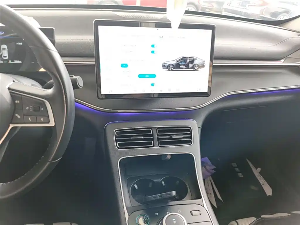 BYD Destroyer 05 2023 Champion Edition DM-i 55KM Luxury фото 13