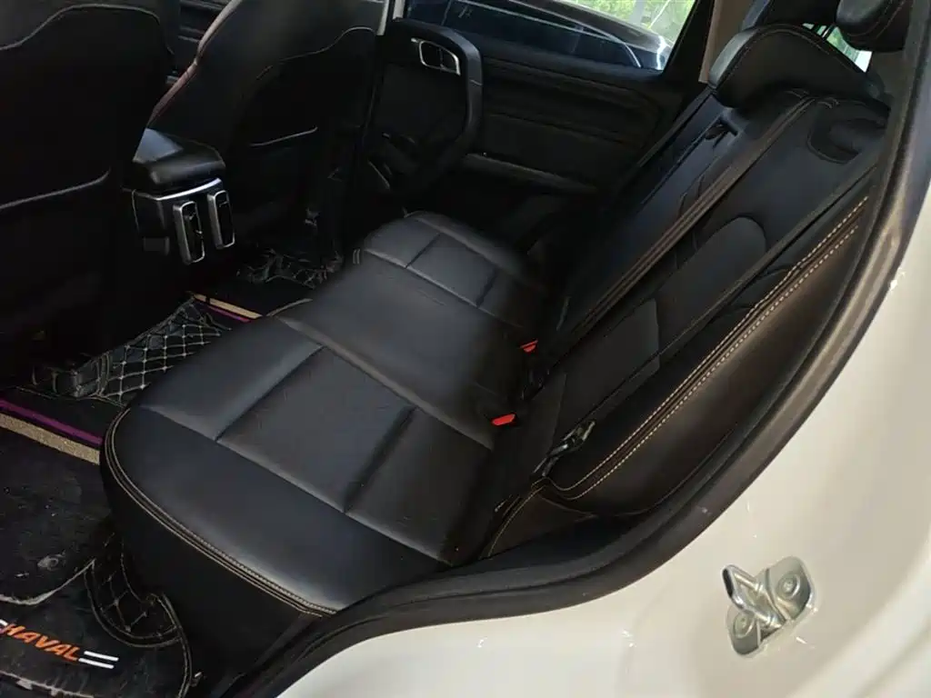 Haval Big Dog 2021 1.5T DCT 2WD Labrador Edition фото 17