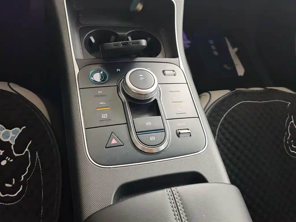 BYD Destroyer 05 2023 Champion Edition DM-i 55KM Luxury фото 14