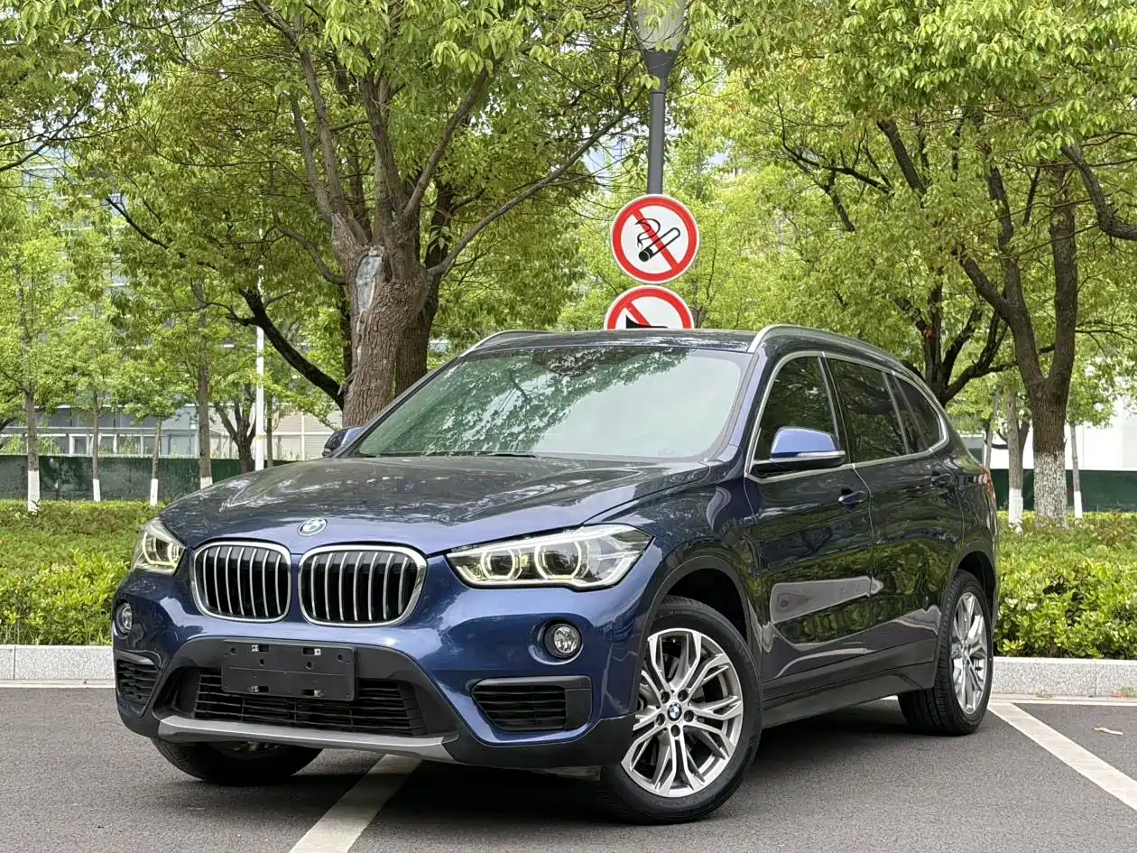 BMW X1 2019 sDrive20Li Leading Model