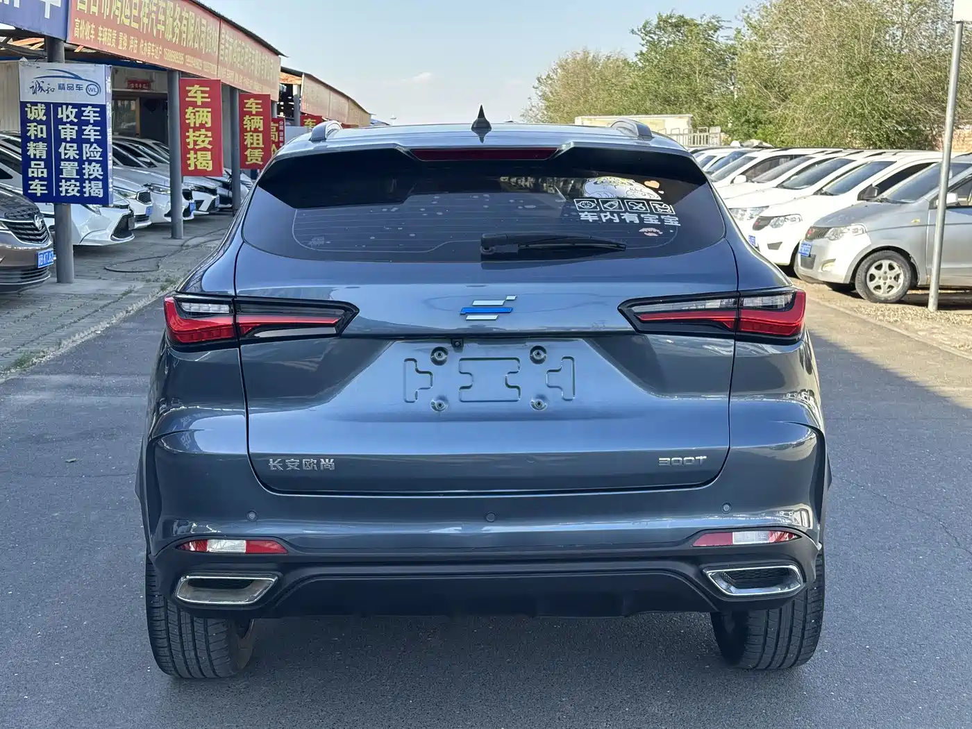 Changan Oshan Changan Oushang X5 2021 2021 1.5T DCT Flagship