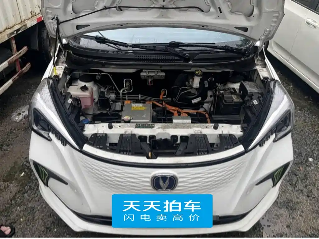Changan Benben E-Star 2022 2020 Heartjoy Edition NCM