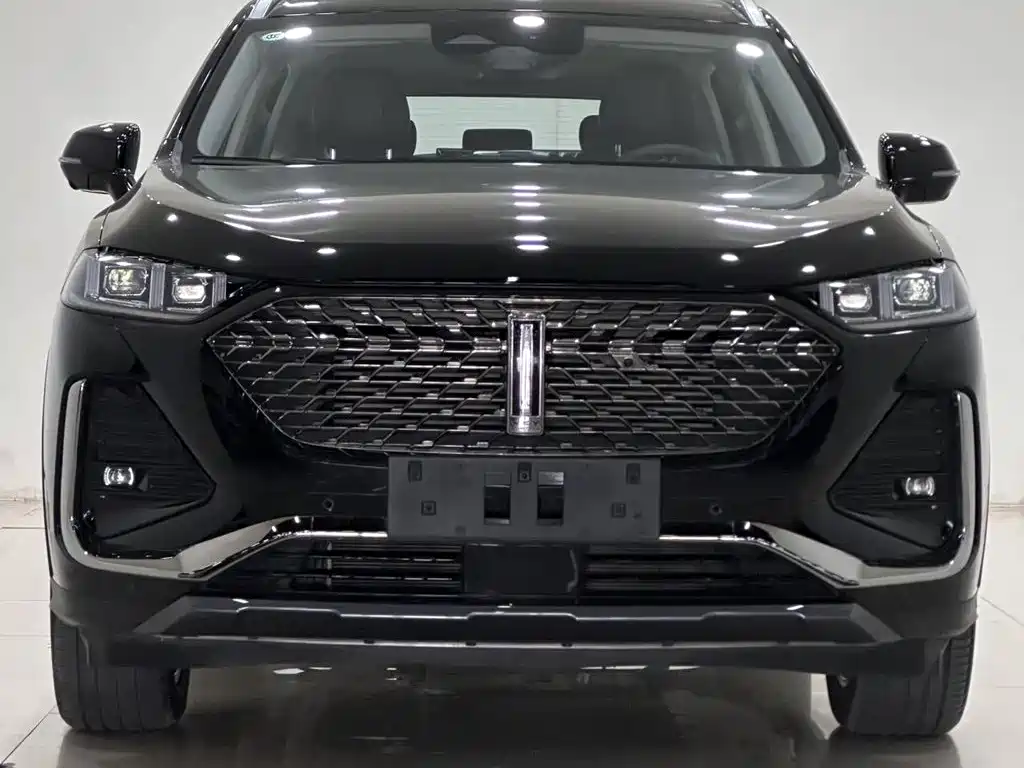 WEY Latte DHT-PHEV 2023 2022 1.5T AWD Super Large Edition
