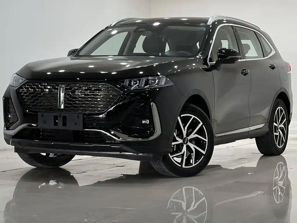 WEY Latte DHT-PHEV 2023 2022 1.5T AWD Super Large Edition