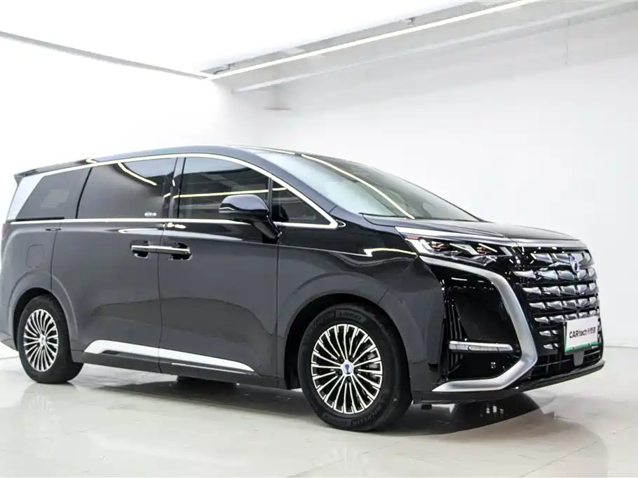 Denza D9 2024 DM-i 980 AWD Premium фото 3