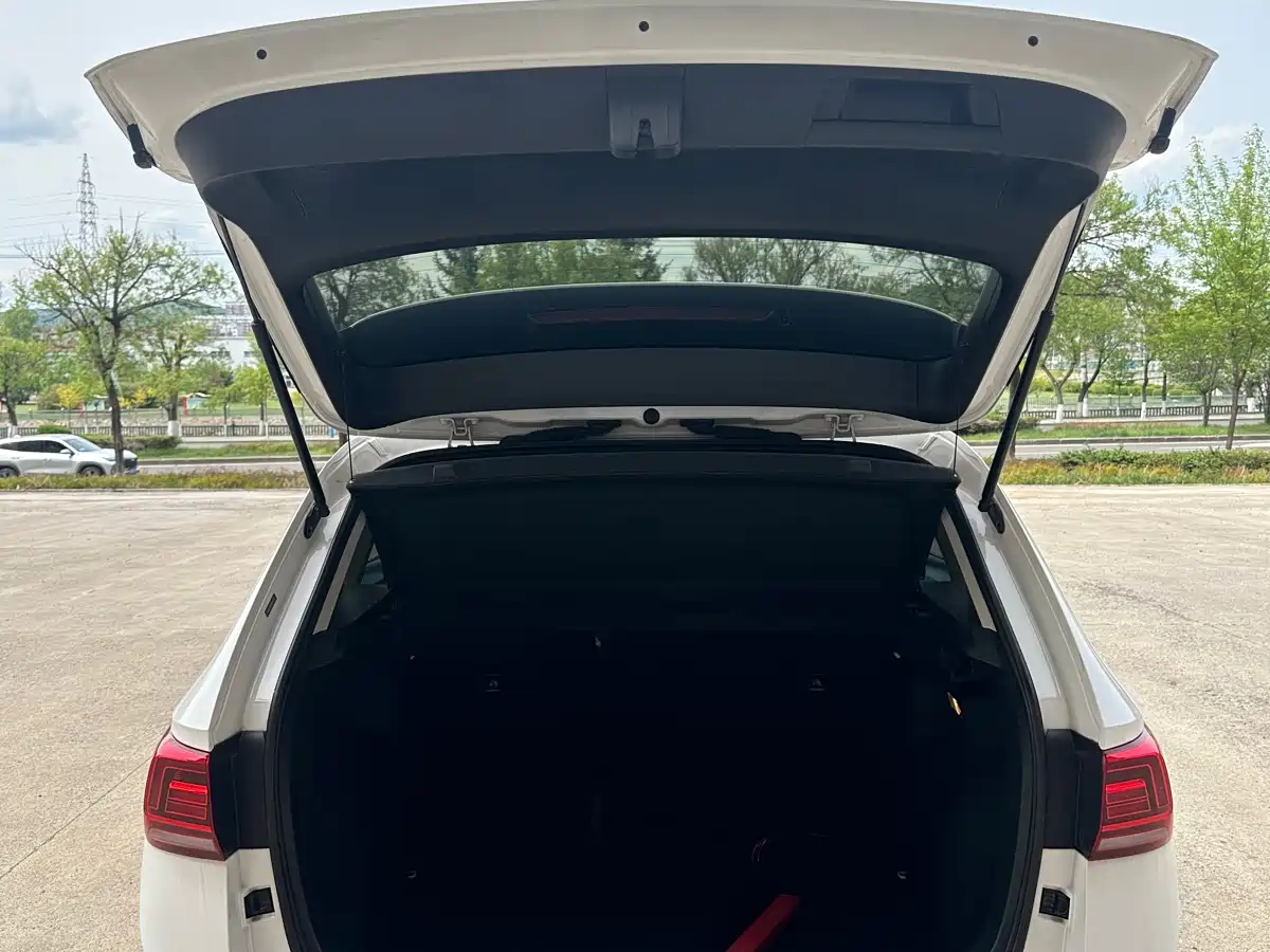VOLKSWAGEN TUYUE