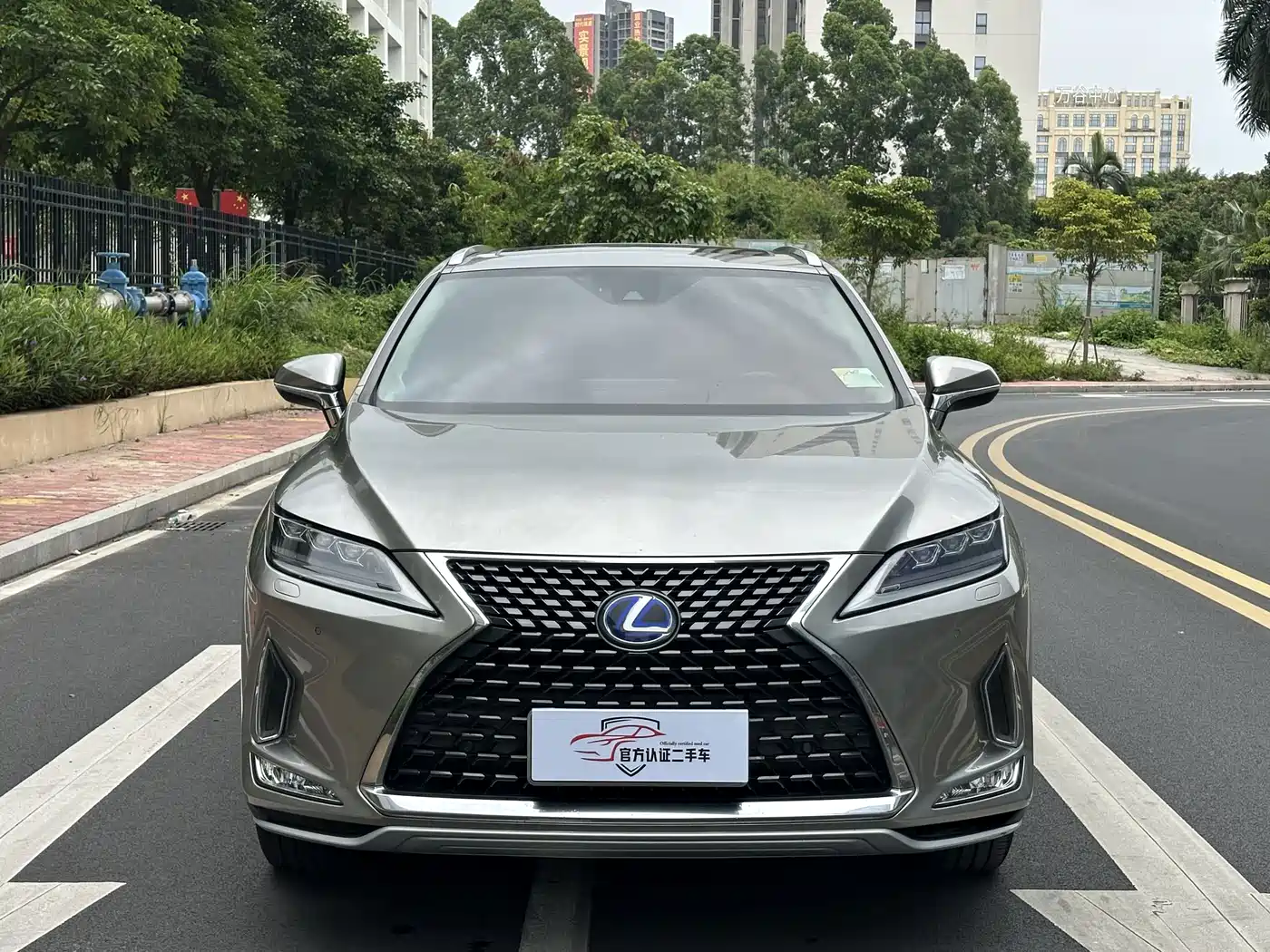 LEXUS RX