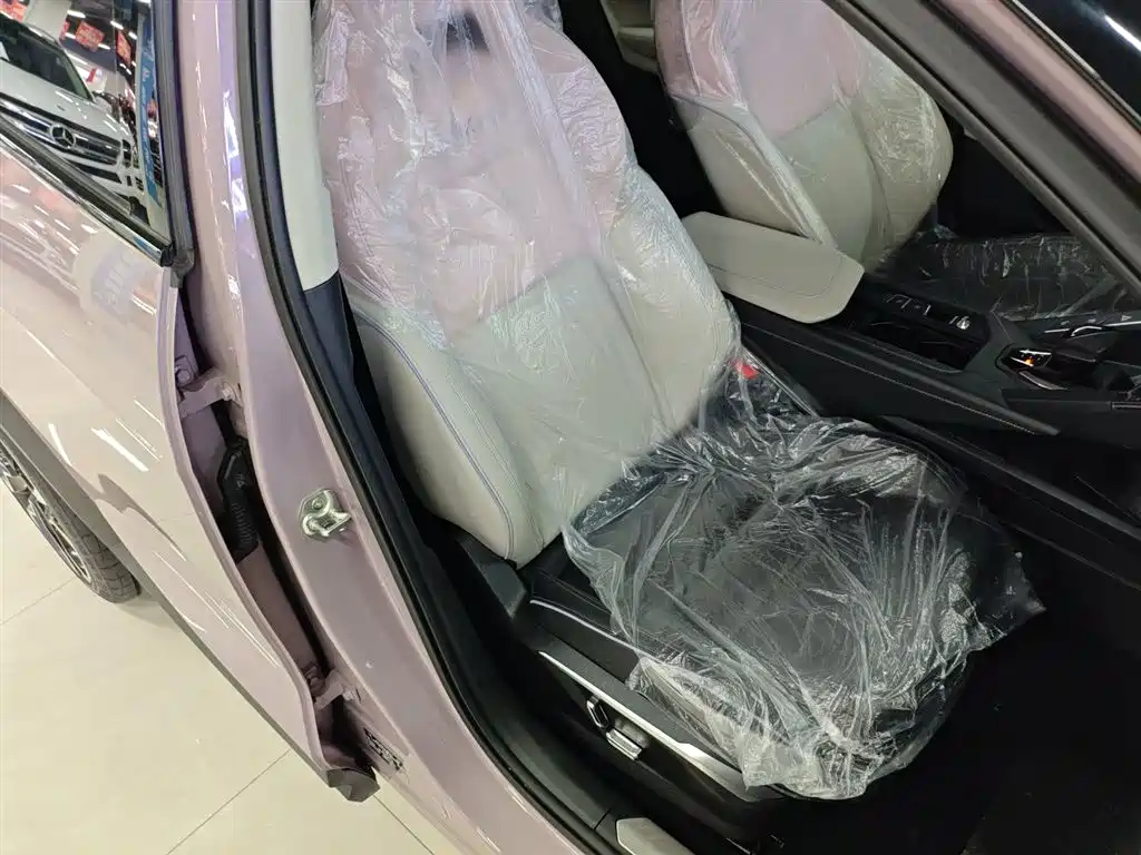 Lynk & Co 06 2021 1.5T Shero Pink Special Edition фото 20