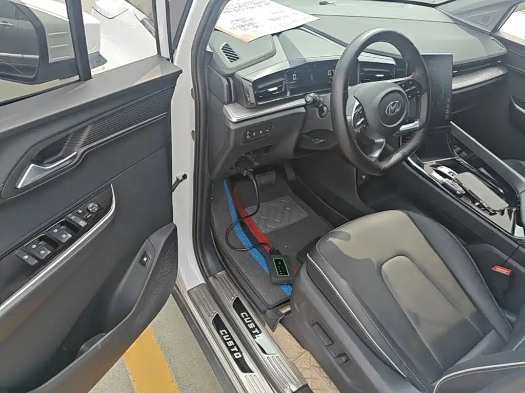 صورة 16 - Hyundai Custo