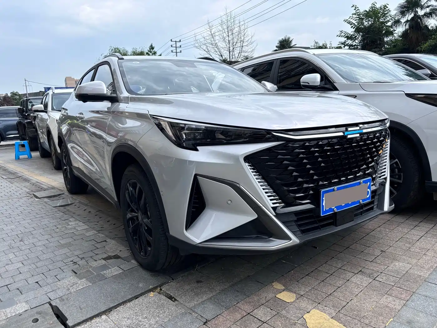 Changan Oshan X5 PLUS 2023 2023 1.5T DCT Pioneer