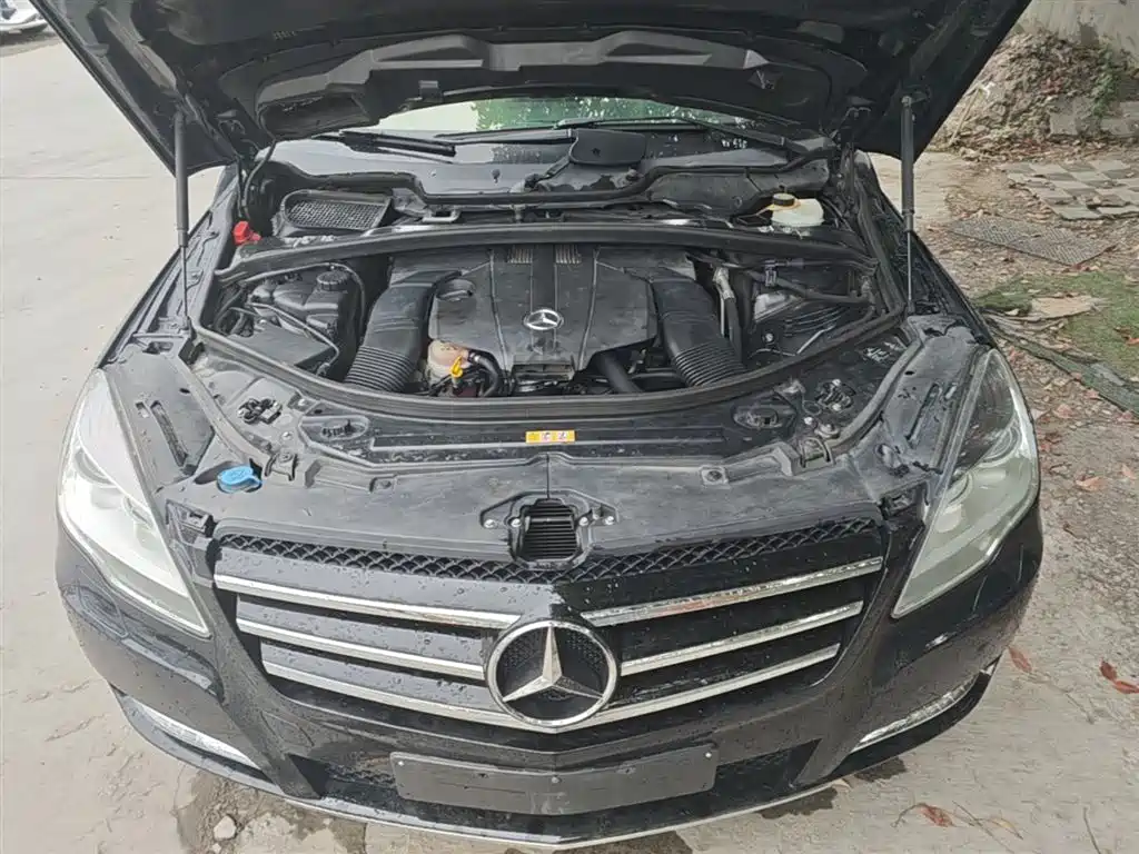 Mercedes-Benz R-Class 2014 R 400 4MATIC Business фото 20