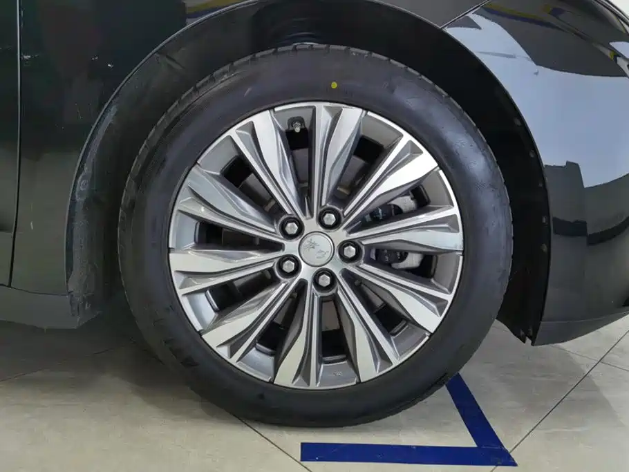 Hongqi E-QM5 2025 2024 Model 610km PLUS