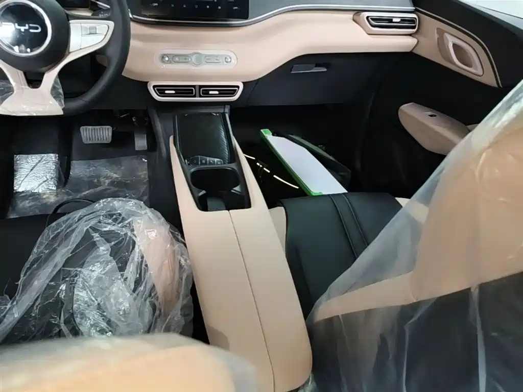 BYD Seagull 2025 Smart Drive Edition 305km Vitality Version фото 14