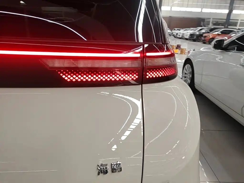 BYD Seagull 2026 2025 Smart Drive Edition 305km Vitality Version