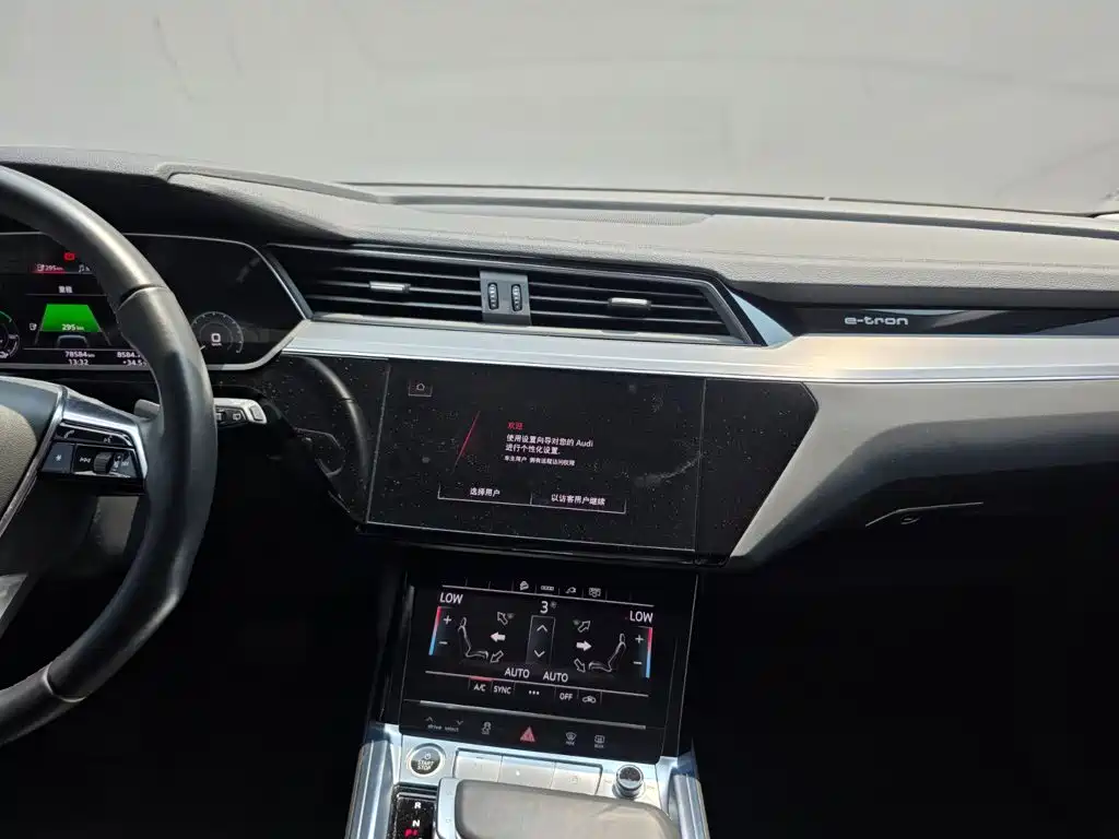 Audi e-tron 2023 2021 50 quattro Luxury
