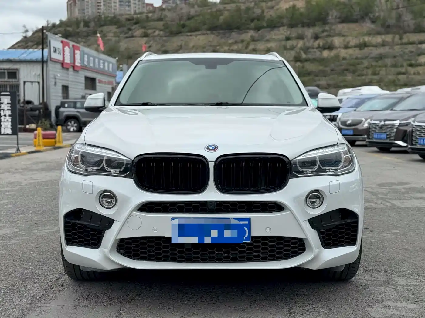 BMW X5 (Import) 2014 xDrive35i Elegance фото 2