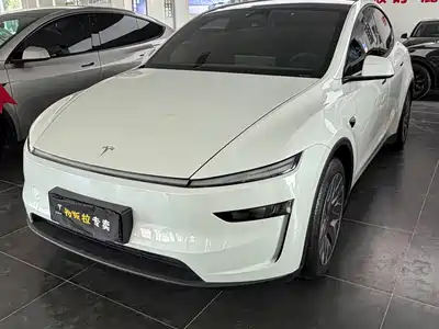 Tesla Model Y L