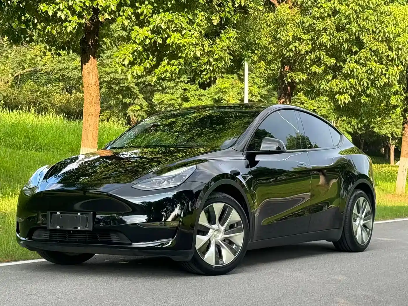 Tesla Model Y 2021
