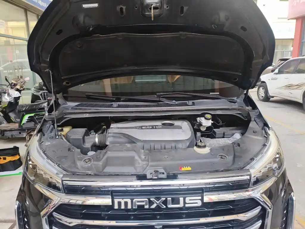 صورة 20 - Maxus G20