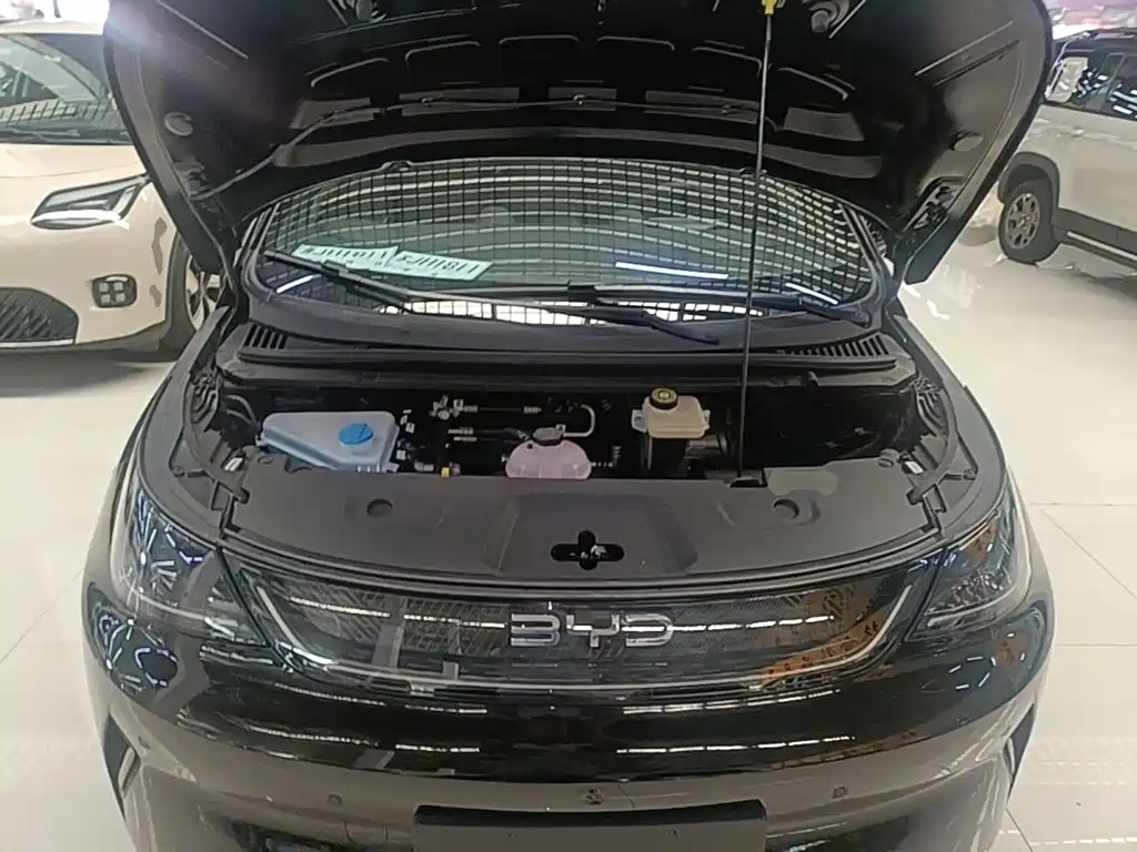 Фото 20 - BYD Dolphin