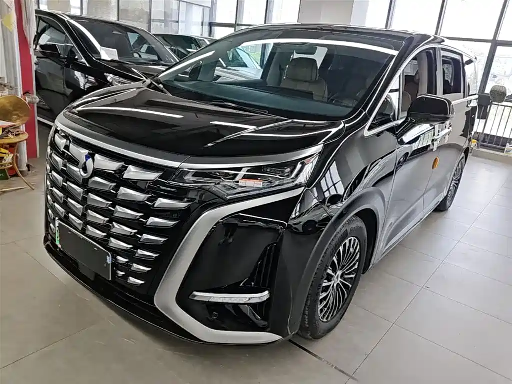 Denza D9 2024 DM-i 980 AWD Premium фото 2
