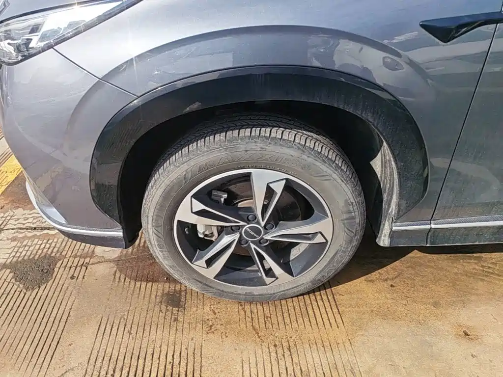 Фото 23 - Roewe RX5