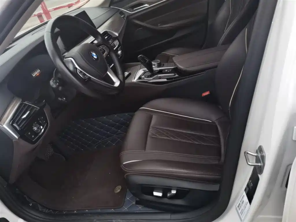 BMW 5 Series 2019 530Li Premium Luxury Package фото 15