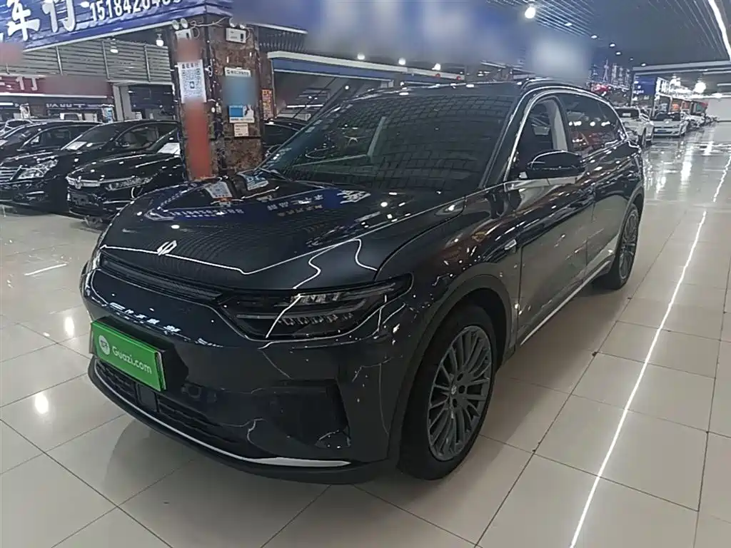 Leapmotor C11 2023 Pure Electric 500 Smart Edition