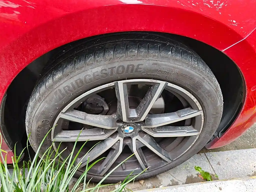 BMW 3 Series 2020 320Li M Sport Package фото 26