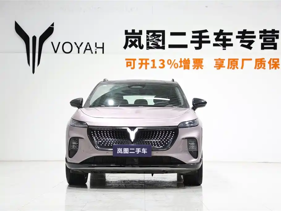 Voyah Auto Voyah Zhiyin 2024 4WD Global Edition фото 2