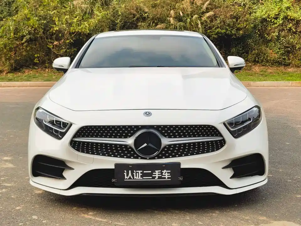 Mercedes-Benz CLS 2021 CLS 300 Luxury фото 2