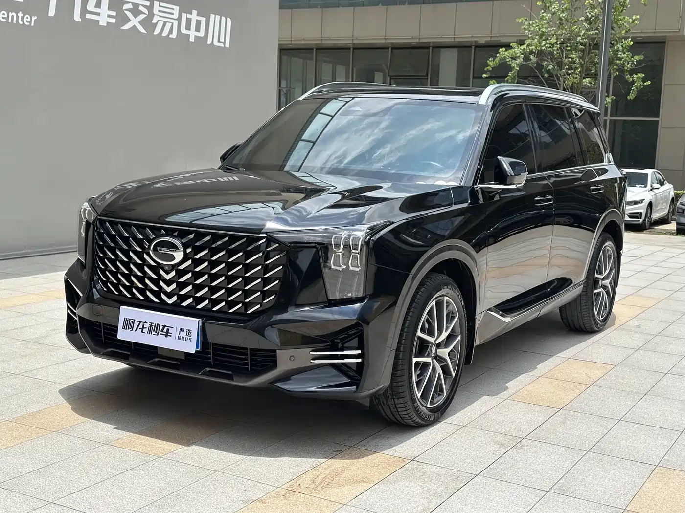 GAC Trumpchi Trumpchi GS8 2022 Pilot Series 2.0TGDI 2WD Luxury Smart Connect Edition (7-Seater) фото 2