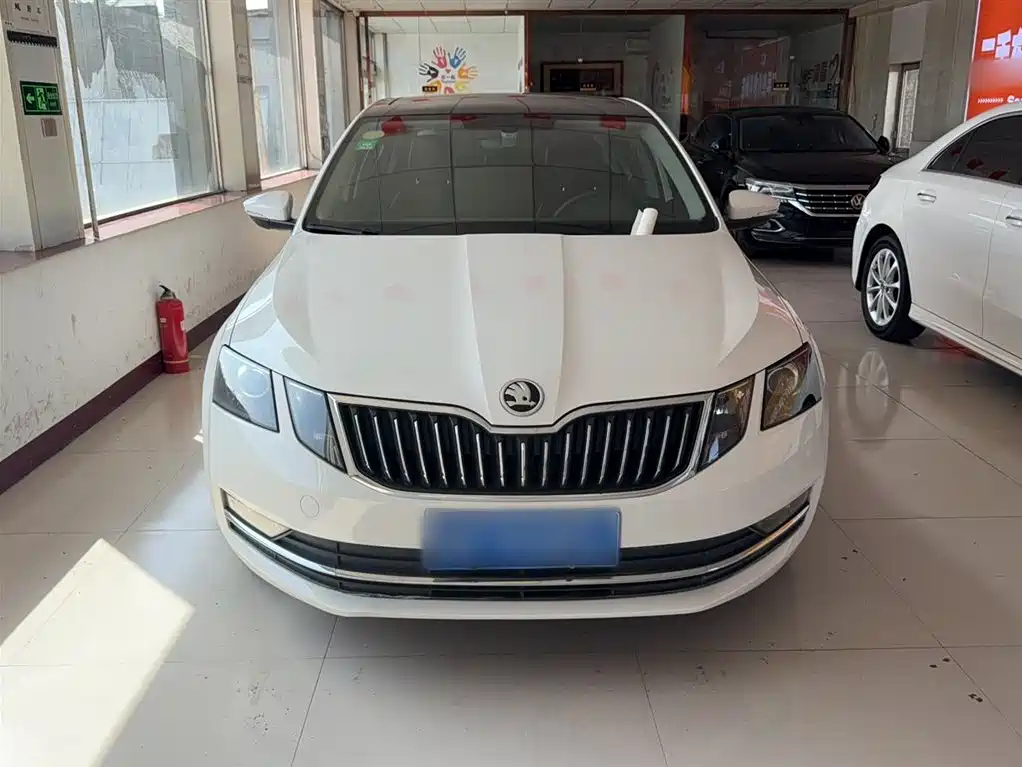 Škoda Octavia 2018 TSI230 DSG Luxury Edition фото 3