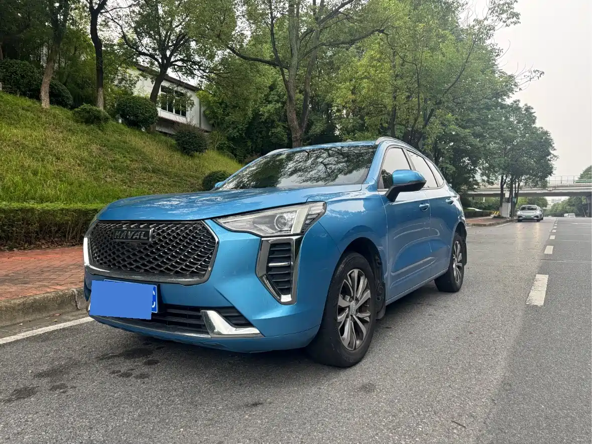 Haval First Love 2021 2021 1.5T Automatic Premium Edition