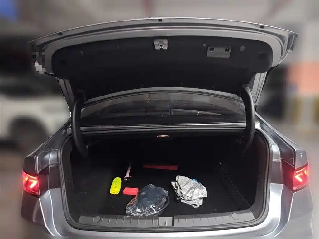 BYD Qin PLUS 2021 DM-i 55KM Flagship фото 10